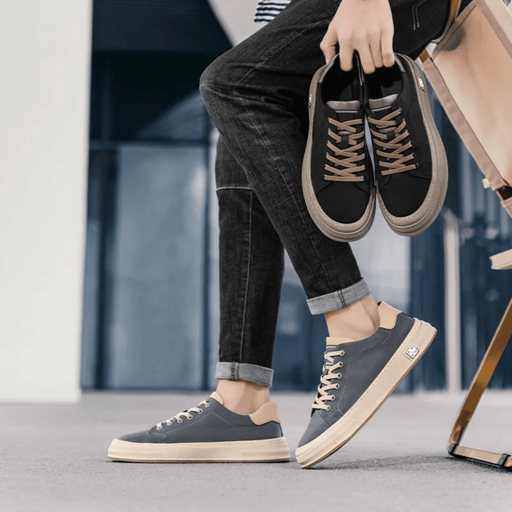 Zentryx Trainer